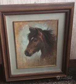 Testa cavallo, olio, Sergio Budicin