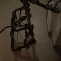 portabici universale