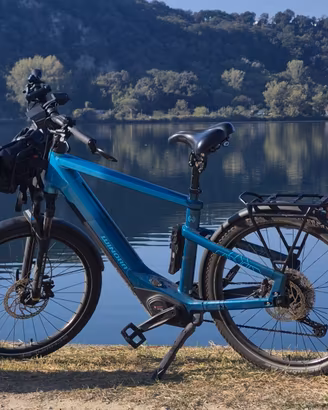 Ebike - Trekking - Elettrica - Winora Yakun X12 
