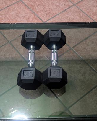 manubri palestra 4 kg (coppia)