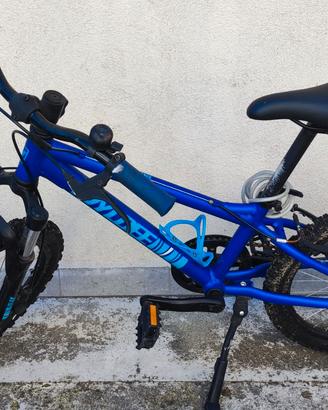 bicicletta