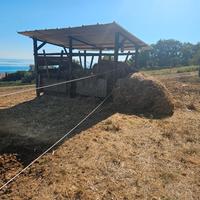 Pensione per cavalli