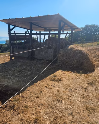 Pensione per cavalli