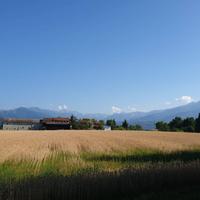 Terreno Agricolo - Beinette