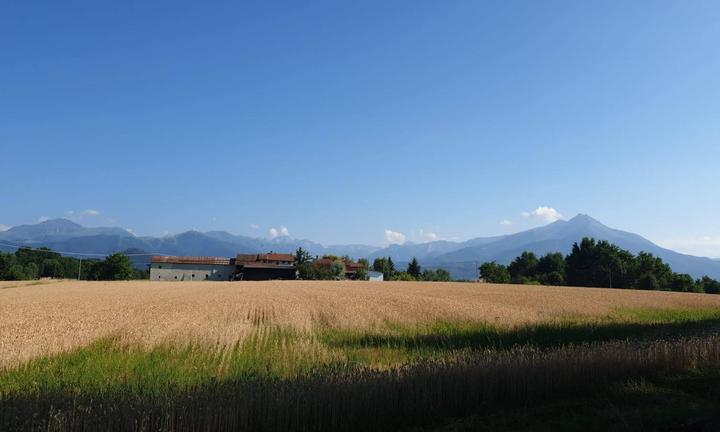 Terreno Agricolo - Beinette