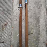 canne Daiwa 