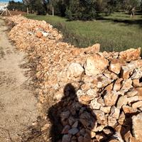 Pietra viva per riempimento 