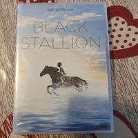 Dvd Black Stallion 