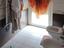 Immagine 18