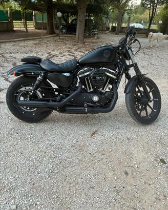 harley davidson 883