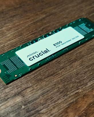 M2 Crucial e100 1Tb -- 0 ore lavoro