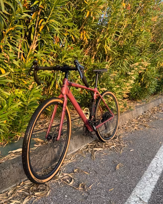 Gravel bike