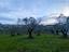 Immagine 8