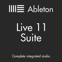 Ableton LIVE 11 SUITE (COMPLETO)
