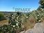 Immagine 29