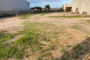 Alghero AMPIO CAPANNONE CON TERRENO
