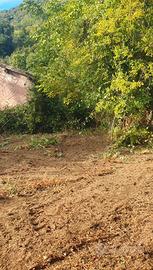 Terreno agricolo