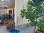 Immagine 16