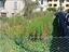 Immagine 19
