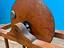 Immagine 5