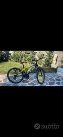 Bici custom
