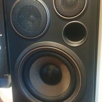 Coppia casse/diffusori audio Aiwa SX-810