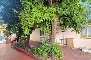 Campidanese con ampio giardino