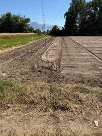 Terreno agricolo