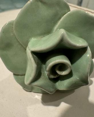 Pomelli ceramica