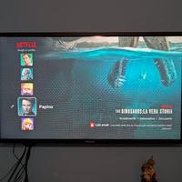 Monitor Philips 50 pollici full hd