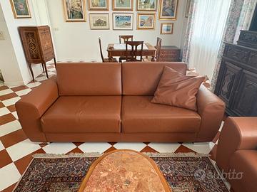 Divani in pelle