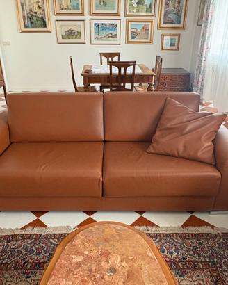 Divani in pelle