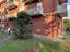 Immagine 16