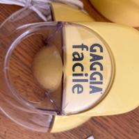 Gelatiera Gaggia facile