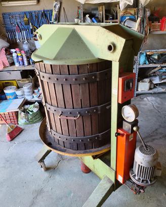 Torchio elettrico per uva