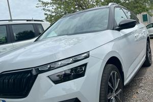 Skoda kamiq dark shade