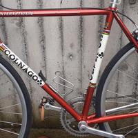 colnago telaio