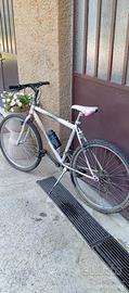 Bicicletta Uomo 26 Pollici