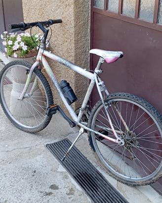 Bicicletta Uomo 26 Pollici