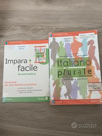 Libro italiano plurale esizione verde