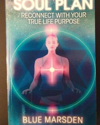 libro numerologia Soul Plan di Blue Marsden
