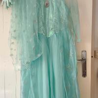 Costume di Frozen 