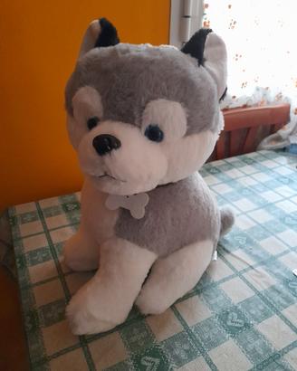 Peluche 