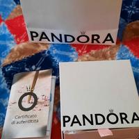 Bracciale con chiusura scorrevole+charm Pandora