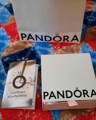 Bracciale con chiusura scorrevole+charm Pandora