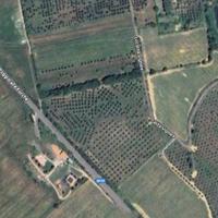 Terreno Agricolo - Piombino