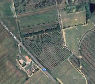 Terreno Agricolo - Piombino