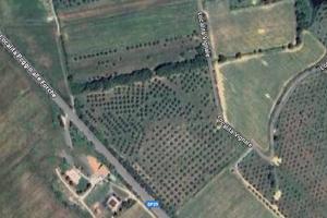 Terreno Agricolo - Piombino