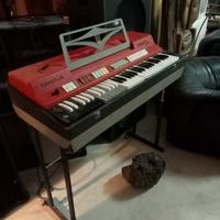 organo farfisa compact 