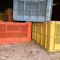 Casse per olive o uva